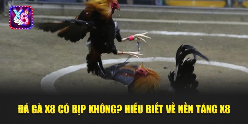 Đá Gà X8 Có Bịp Không? Sự Thật Khi “Xuống Tiền” Mới Vỡ Lẽ!
