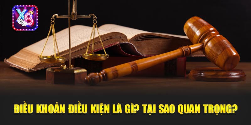 Điều Khoản Điều Kiện Là Gì? Tại Sao Quan Trọng?