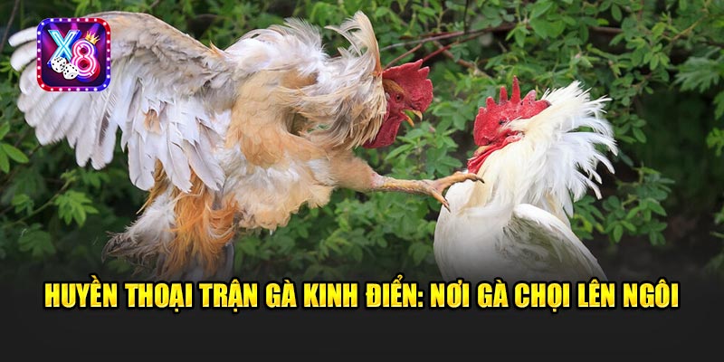 1 Cú Mổ - Ăn Gọn 10 Triệu: Bí Ẩn Sau Trận Gà Kinh Điển Trên X8!