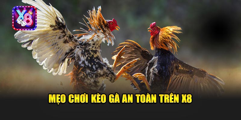 Mẹo Chơi Kèo Gà An Toàn Trên X8
