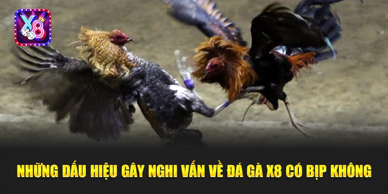 Những Dấu Hiệu Gây Nghi Vấn Về Đá Gà X8 Có Bịp Không