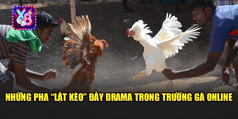 Góc Tối Trường Gà Online - Những Pha “Lật Kèo” Dân Cá Cược Cứng Họng 3 Những Pha “Lật Kèo” Đầy Drama Trong Trường Gà Online