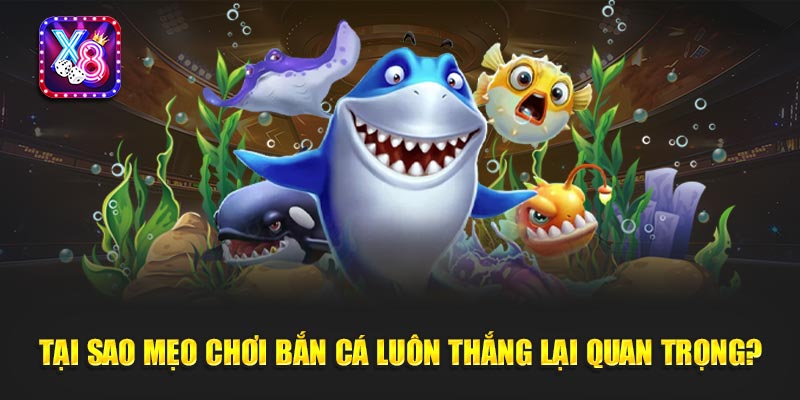 Mẹo Chơi Bắn Cá Luôn Thắng - Bí Kíp Vàng Để Làm Chủ Mọi Ván Game 6 Mẹo Chơi Bắn Cá Luôn Thắng - Bí Kíp Vàng Để Làm Chủ Mọi Ván Game