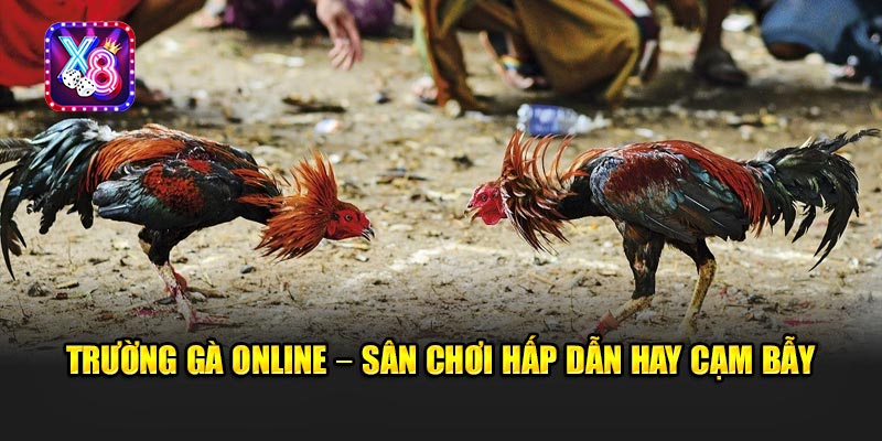Góc Tối Trường Gà Online - Những Pha “Lật Kèo” Khiến Dân Cá Cược Cứng Họng