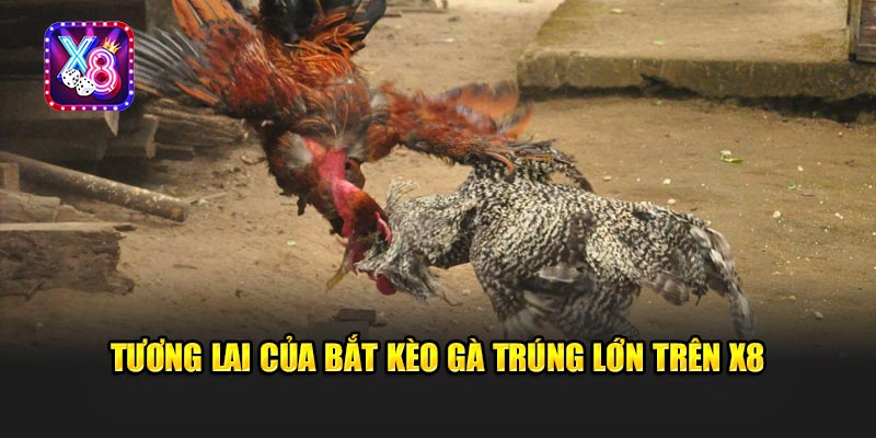 Tương Lai Của Bắt Kèo Gà Trúng Lớn Trên X8